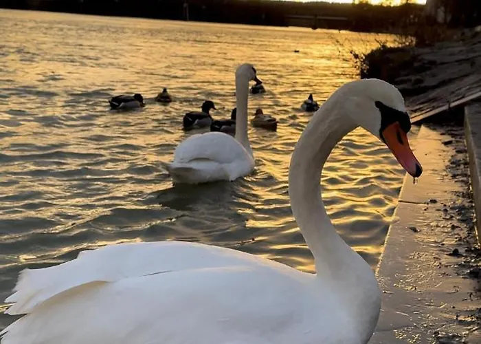 Altstadtwohnung Direkt Am